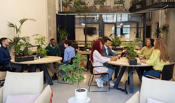 DPDK – Brand innovation agency for the bold