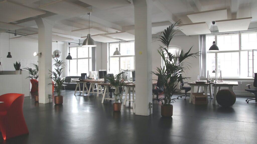 Succeedo – Digital Marketing, SEO, Web Development Agency in New York, NYC
