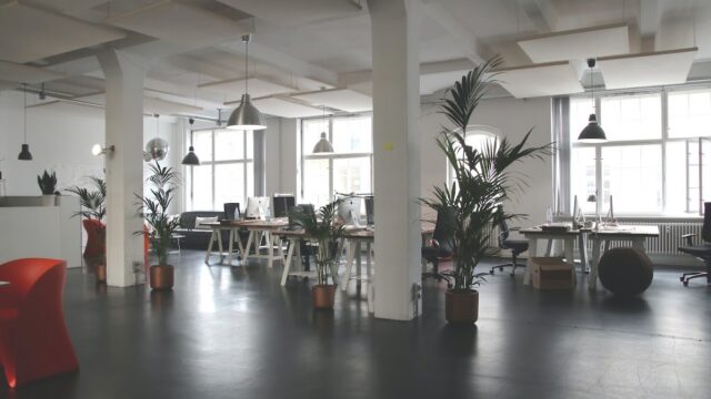 Succeedo – Digital Marketing, SEO, Web Development Agency in New York, NYC